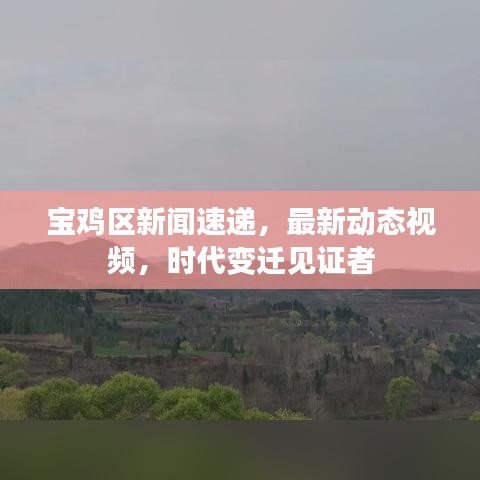 宝鸡区新闻速递，最新动态视频，时代变迁见证者