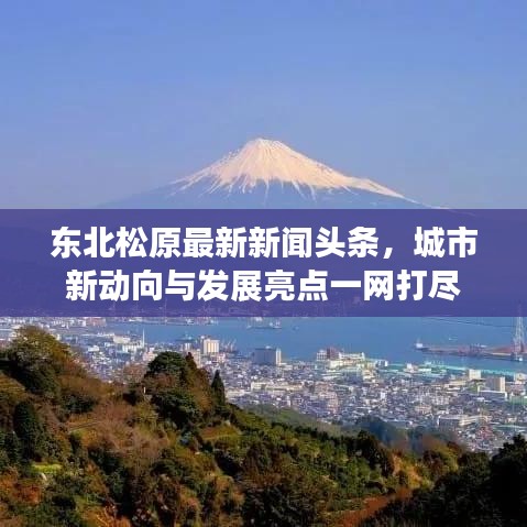东北松原最新新闻头条，城市新动向与发展亮点一网打尽