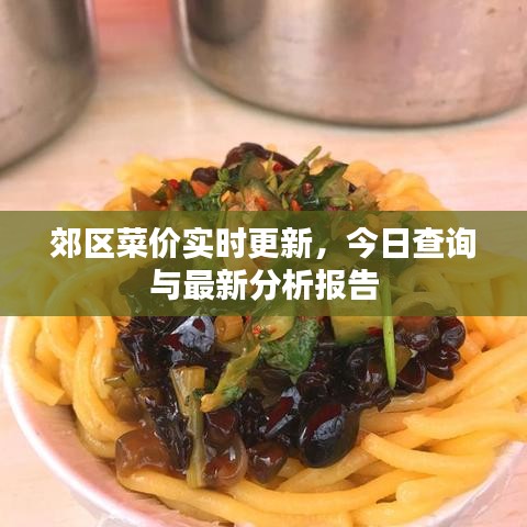 郊区菜价实时更新，今日查询与最新分析报告