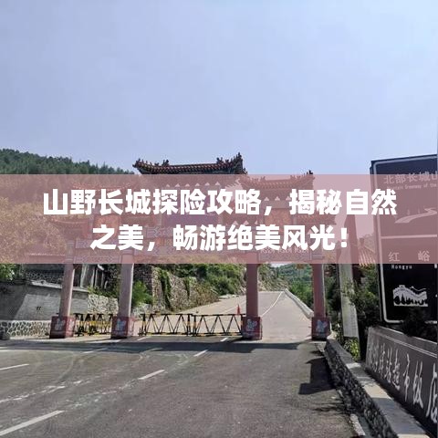 第151页