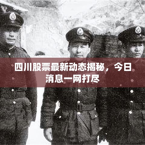 四川股票最新动态揭秘，今日消息一网打尽