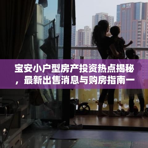 宝安小户型房产投资热点揭秘，最新出售消息与购房指南一网打尽