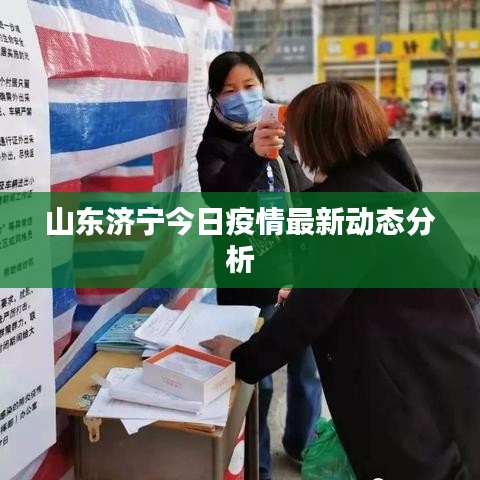 山东济宁今日疫情最新动态分析