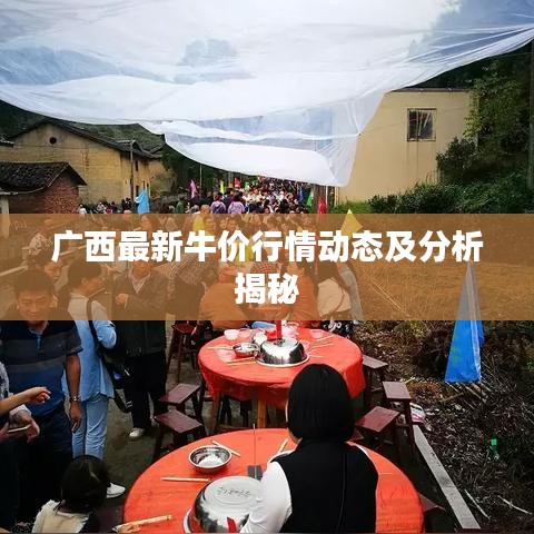 广西最新牛价行情动态及分析揭秘