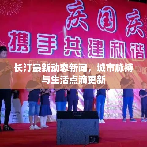长汀最新动态新闻，城市脉搏与生活点滴更新