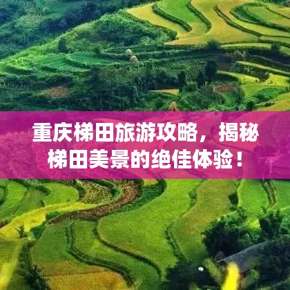 重庆梯田旅游攻略，揭秘梯田美景的绝佳体验！
