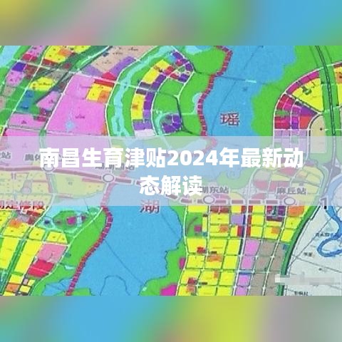 南昌生育津贴2024年最新动态解读