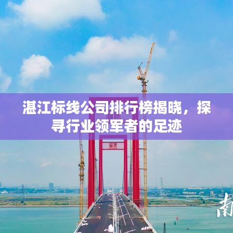 湛江标线公司排行榜揭晓，探寻行业领军者的足迹