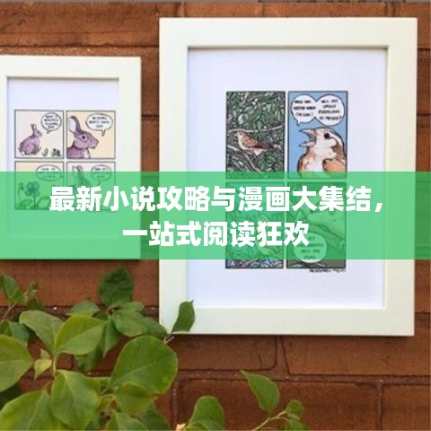 最新小说攻略与漫画大集结，一站式阅读狂欢