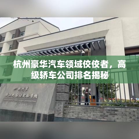 杭州豪华汽车领域佼佼者，高级轿车公司排名揭秘