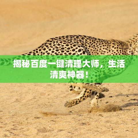 揭秘百度一键清理大师，生活清爽神器！