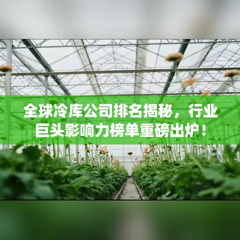 全球冷库公司排名揭秘，行业巨头影响力榜单重磅出炉！