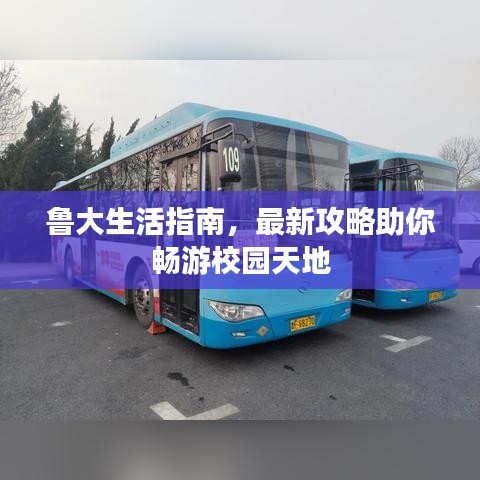 鲁大生活指南，最新攻略助你畅游校园天地