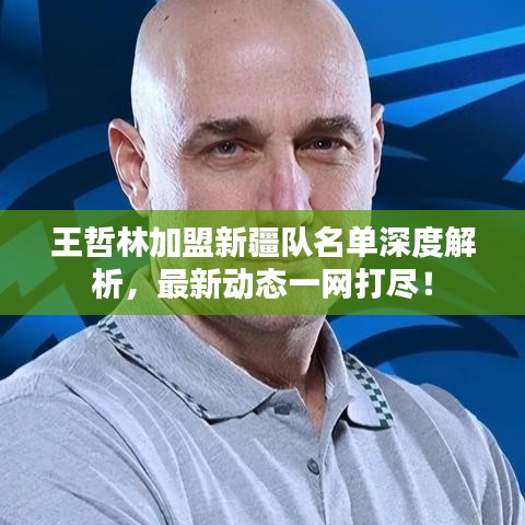 王哲林加盟新疆队名单深度解析，最新动态一网打尽！