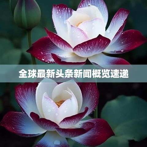 全球最新头条新闻概览速递