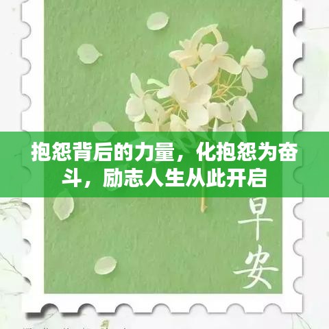 抱怨背后的力量，化抱怨为奋斗，励志人生从此开启