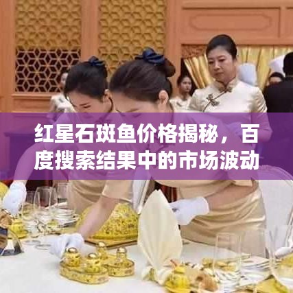 红星石斑鱼价格揭秘，百度搜索结果中的市场波动深度解析