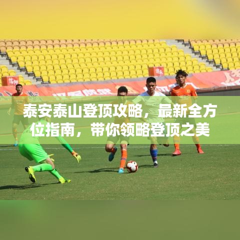 泰安泰山登顶攻略，最新全方位指南，带你领略登顶之美