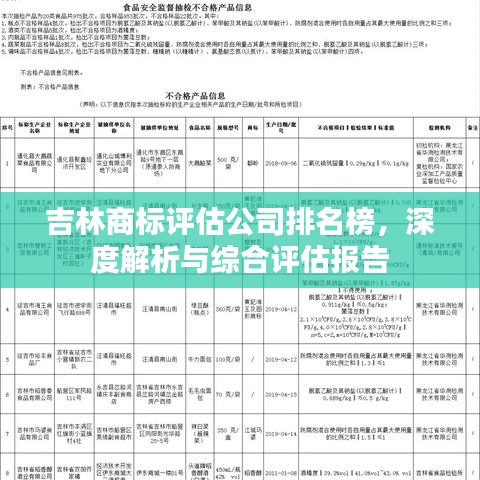吉林商标评估公司排名榜，深度解析与综合评估报告
