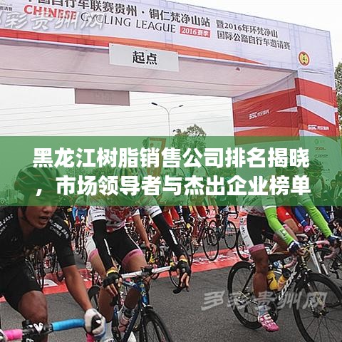 黑龙江树脂销售公司排名揭晓，市场领导者与杰出企业榜单出炉！