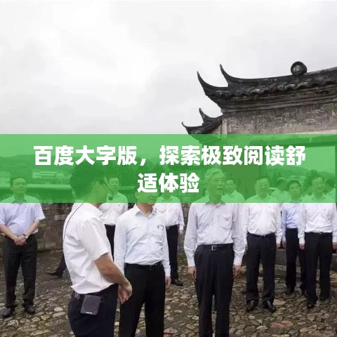 百度大字版，探索极致阅读舒适体验