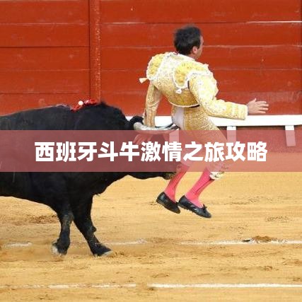 西班牙斗牛激情之旅攻略