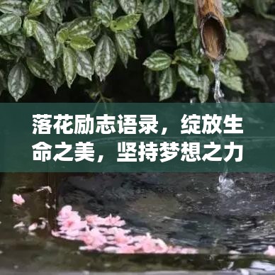 落花励志语录，绽放生命之美，坚持梦想之力