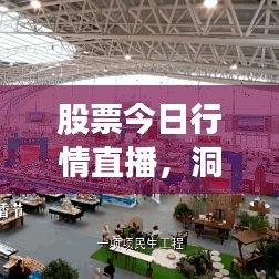 股票今日行情直播，洞悉市场脉动，把握投资先机