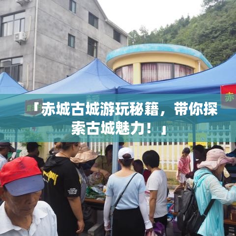 2025年5月17日 第2页