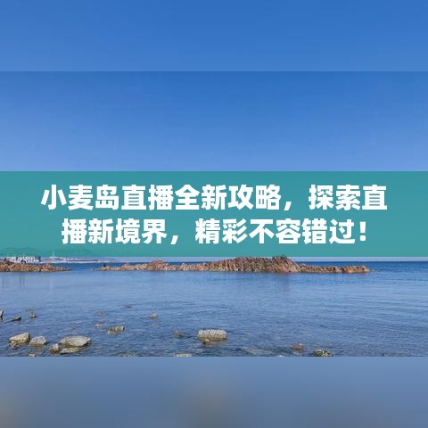 2025年5月17日 第21页