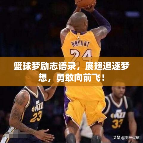 篮球梦励志语录，展翅追逐梦想，勇敢向前飞！