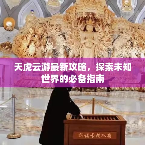 天虎云游最新攻略，探索未知世界的必备指南