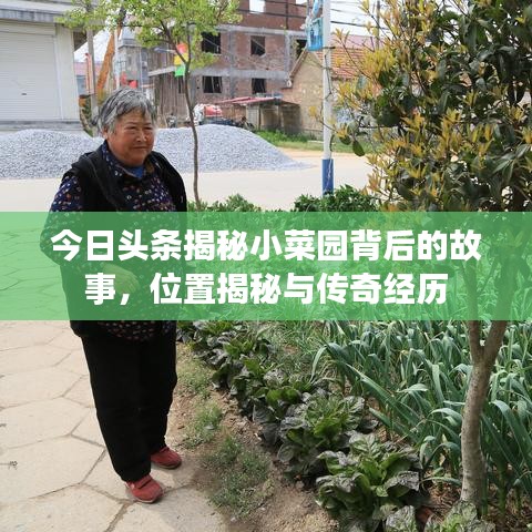 今日头条揭秘小菜园背后的故事，位置揭秘与传奇经历