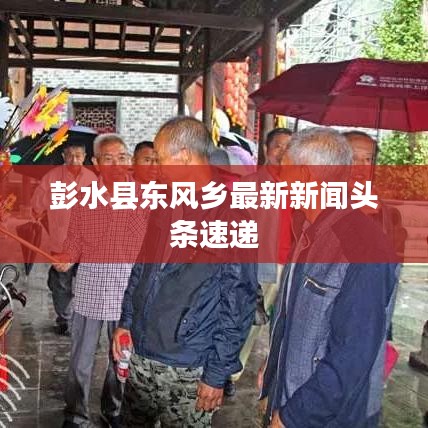 彭水县东风乡最新新闻头条速递