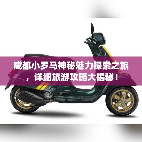 2025年5月18日 第20页