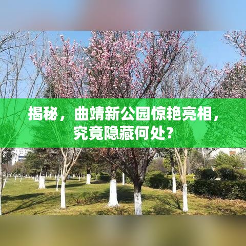 揭秘，曲靖新公园惊艳亮相，究竟隐藏何处？