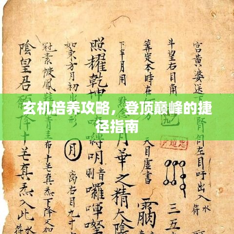 玄机培养攻略，登顶巅峰的捷径指南