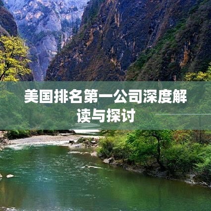 美国排名第一公司深度解读与探讨