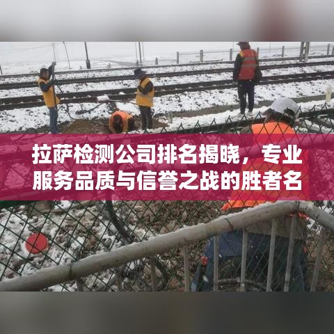 拉萨检测公司排名揭晓，专业服务品质与信誉之战的胜者名单