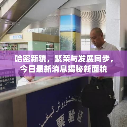 哈密新貌，繁荣与发展同步，今日最新消息揭秘新面貌