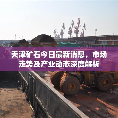 天津矿石今日最新消息，市场走势及产业动态深度解析