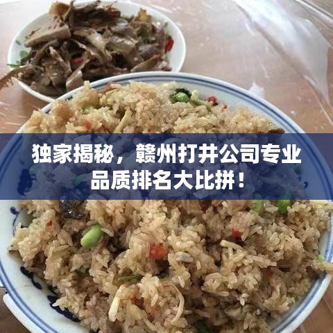 独家揭秘，赣州打井公司专业品质排名大比拼！