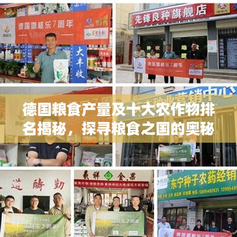 德国粮食产量及十大农作物排名揭秘，探寻粮食之国的奥秘