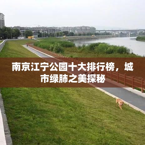 南京江宁公园十大排行榜，城市绿肺之美探秘