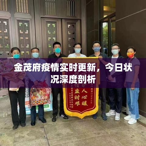 金茂府疫情实时更新，今日状况深度剖析