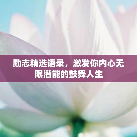 励志精选语录，激发你内心无限潜能的鼓舞人生