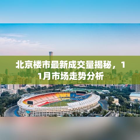 北京楼市最新成交量揭秘，11月市场走势分析