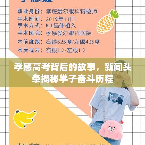 孝感高考背后的故事，新闻头条揭秘学子奋斗历程