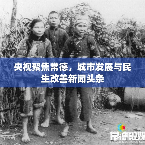 央视聚焦常德，城市发展与民生改善新闻头条