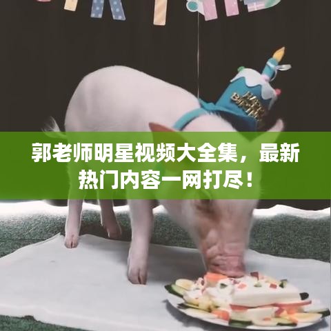 郭老师明星视频大全集，最新热门内容一网打尽！